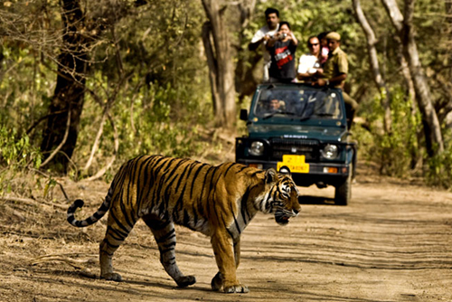 Weekend Getaway to Corbett